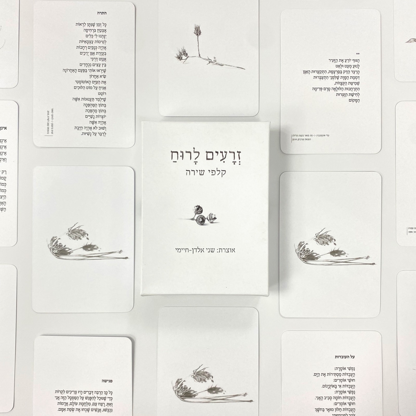 קלפים טיפוליים — Money Vibes